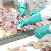 handling raw, dressed chicken