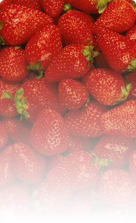 fresh, ripe strawberries
